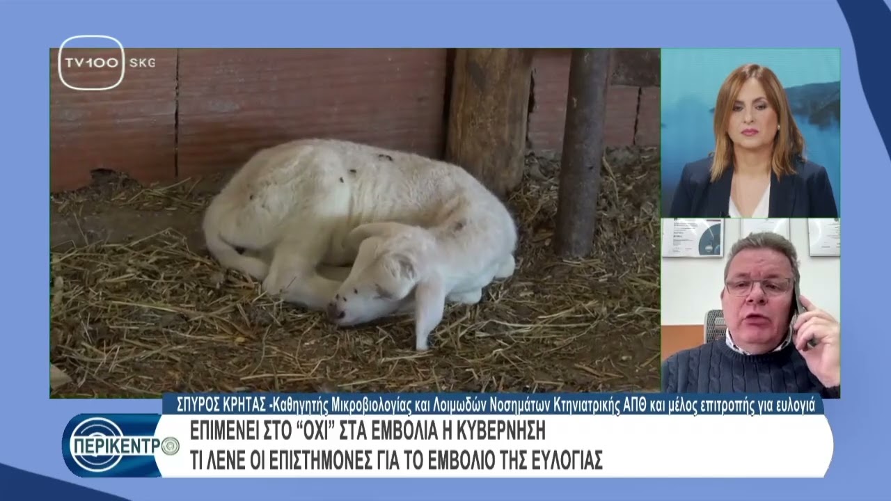 Ευλογια  TV100 260129 Περικεντρο