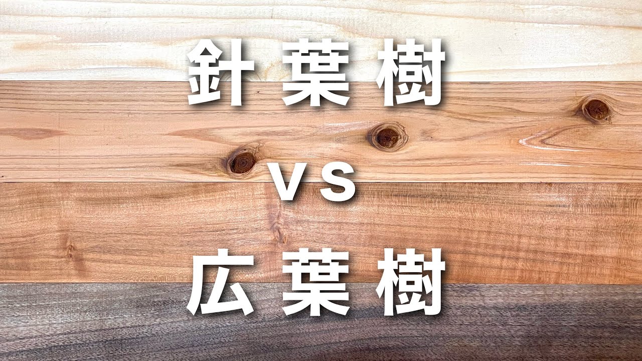 【木材の選び方】針葉樹と広葉樹を比較！それぞれのメリット&デメリット【木工】