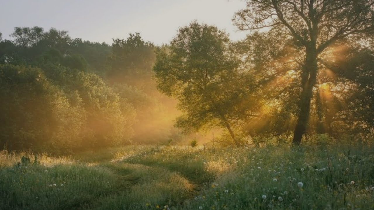 a comfort playlist for living a quiet life
