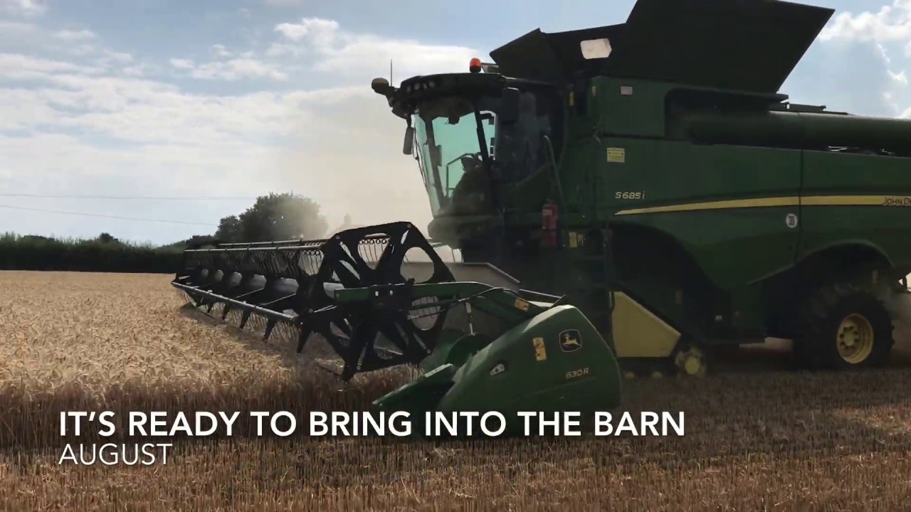 From seed to loaf – the story of bread with Eckley Farms