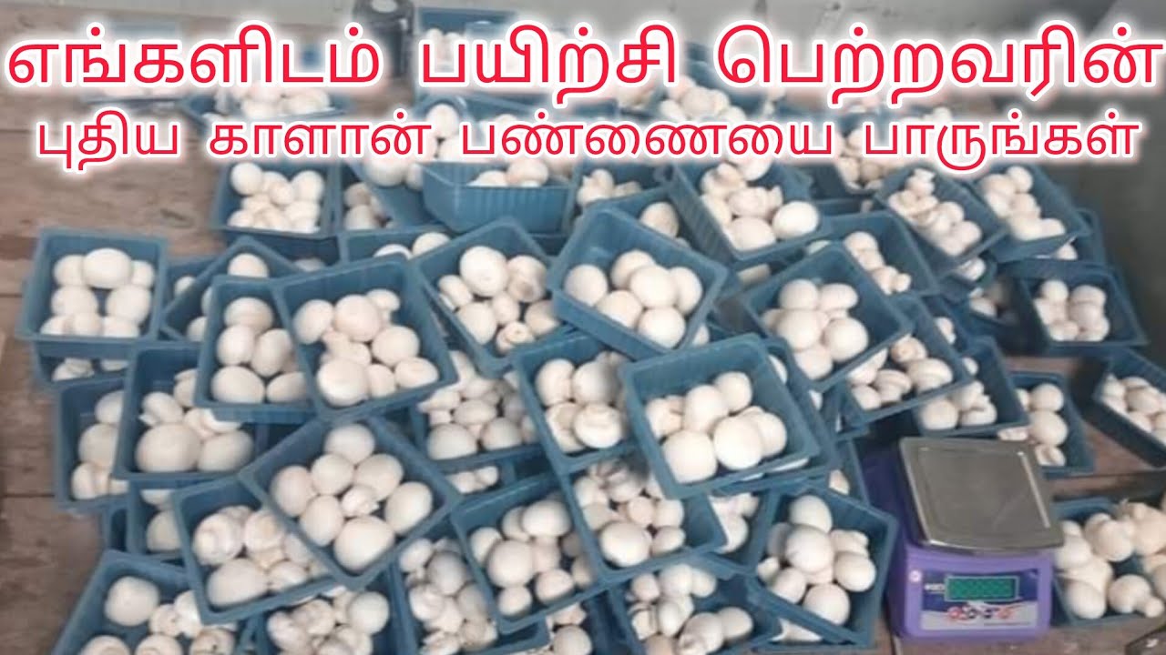 எங்களிடம் பயிற்சி பெற்றவரின் புதிய பண்ணை அமைப்பை பாருங்கள்