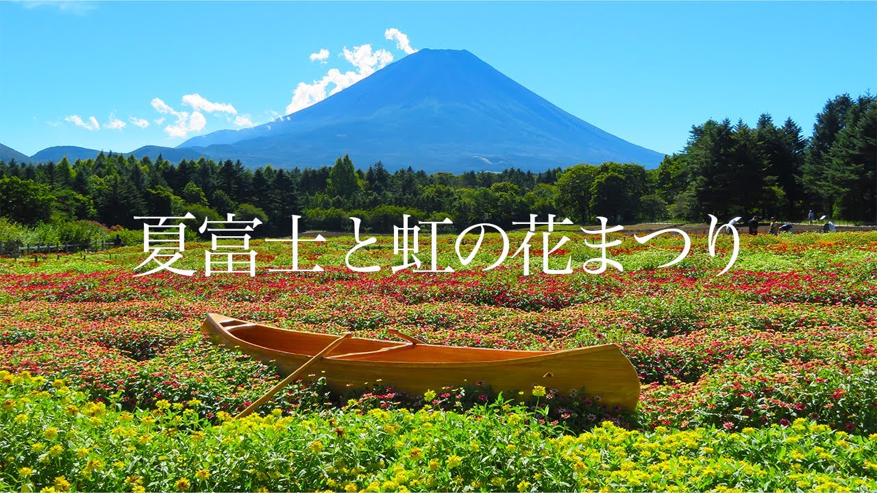 【夏富士 虹の花まつり】ひと足早い秋 富士山と花々 2024