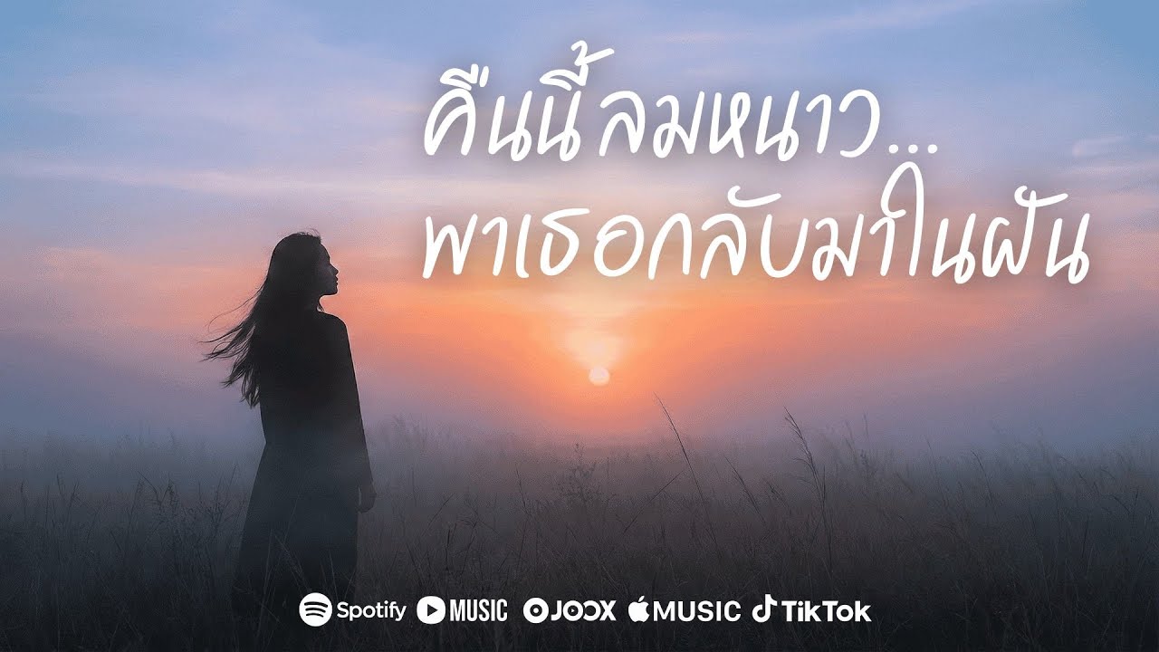 คืนนี้ลมหนาว...พาเธอกลับมาในฝัน (Official Video)