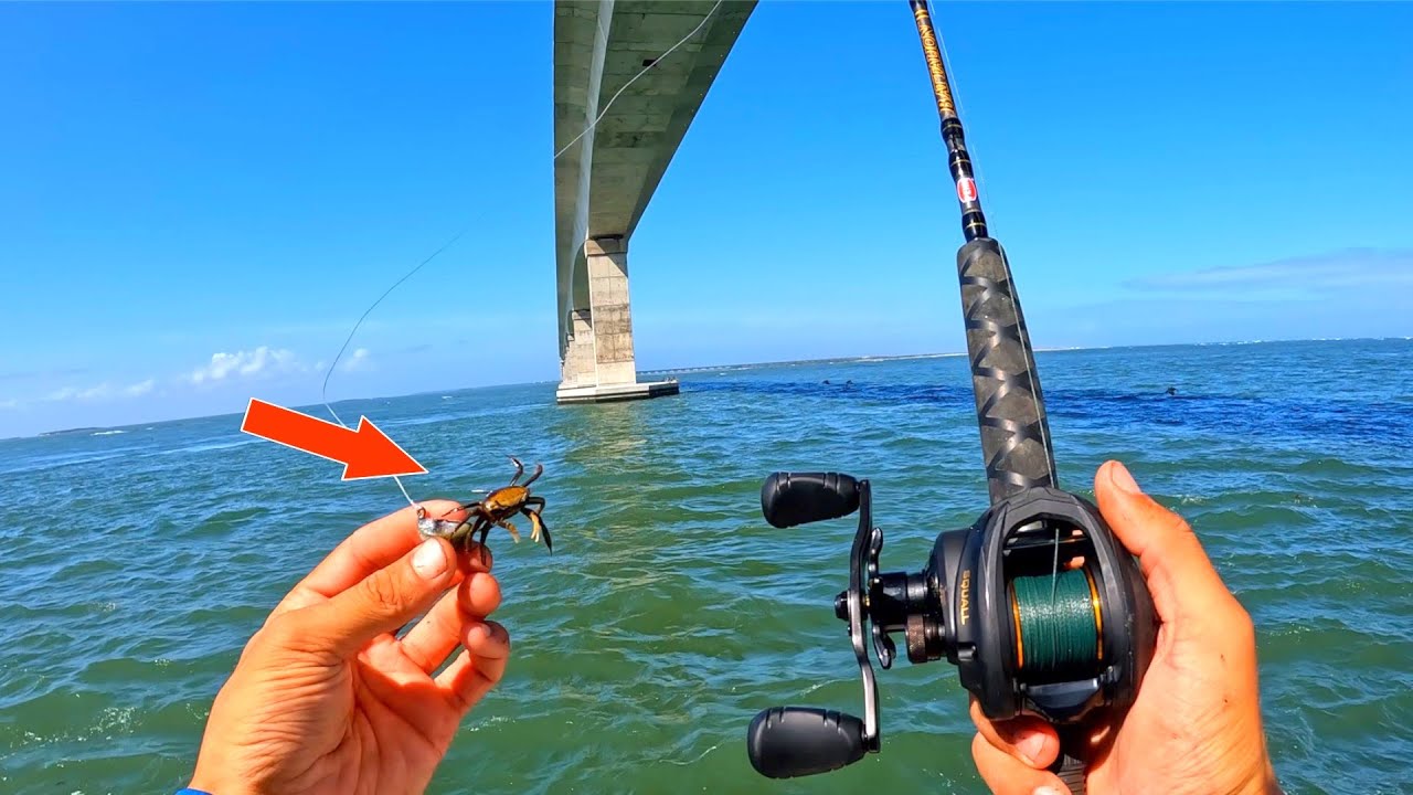 SHEEPSHEAD FRENZY At The Bridge (Oregon Inlet Sheepshead Fishing)