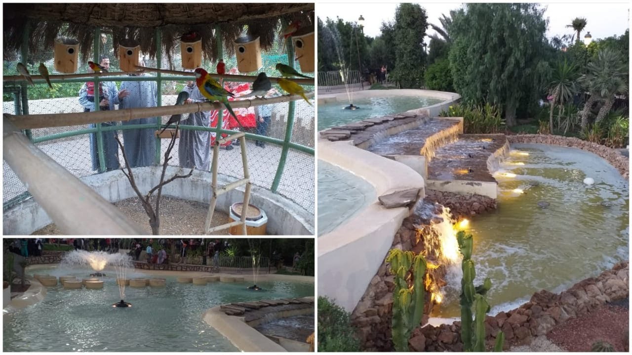 حديقة تل الطيور  وواد  الساقية الحمراء بمدينة  العيون