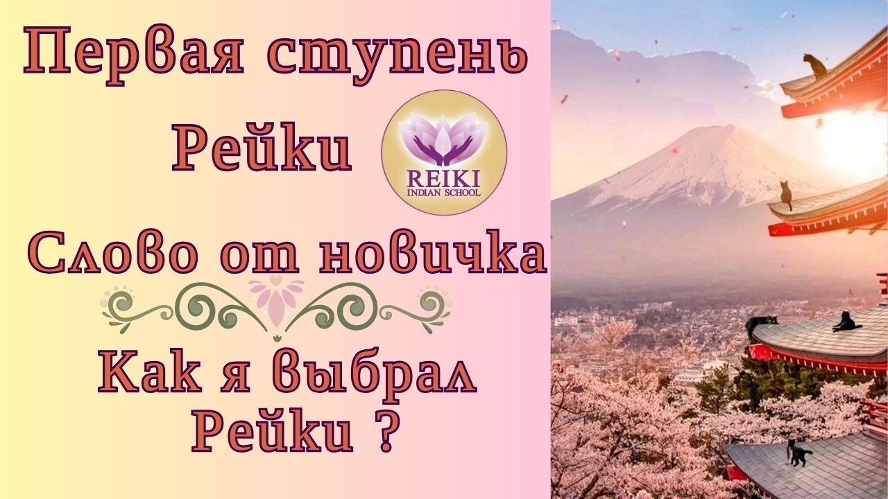 Отзыв новичков Александр