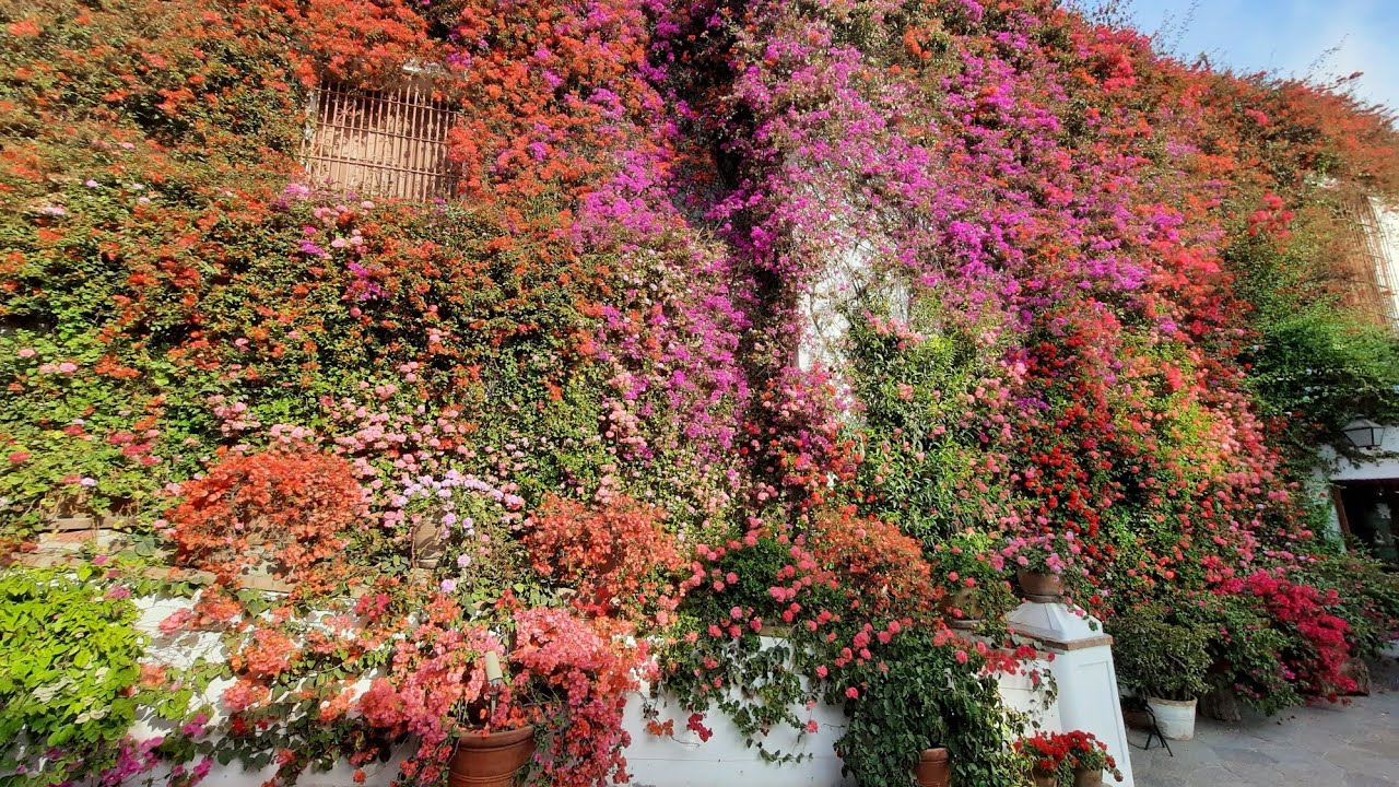 TOUR POR EL JARDIN MÁGICO DEL MUSEO LARCO