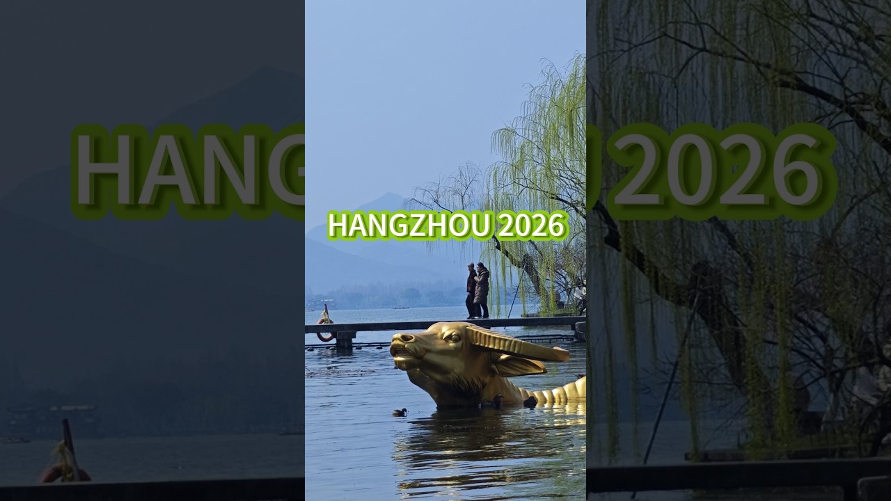 The REAL China 2026: Walking in Hangzhou (Local Life & Traffic) | 真实杭州街头漫步