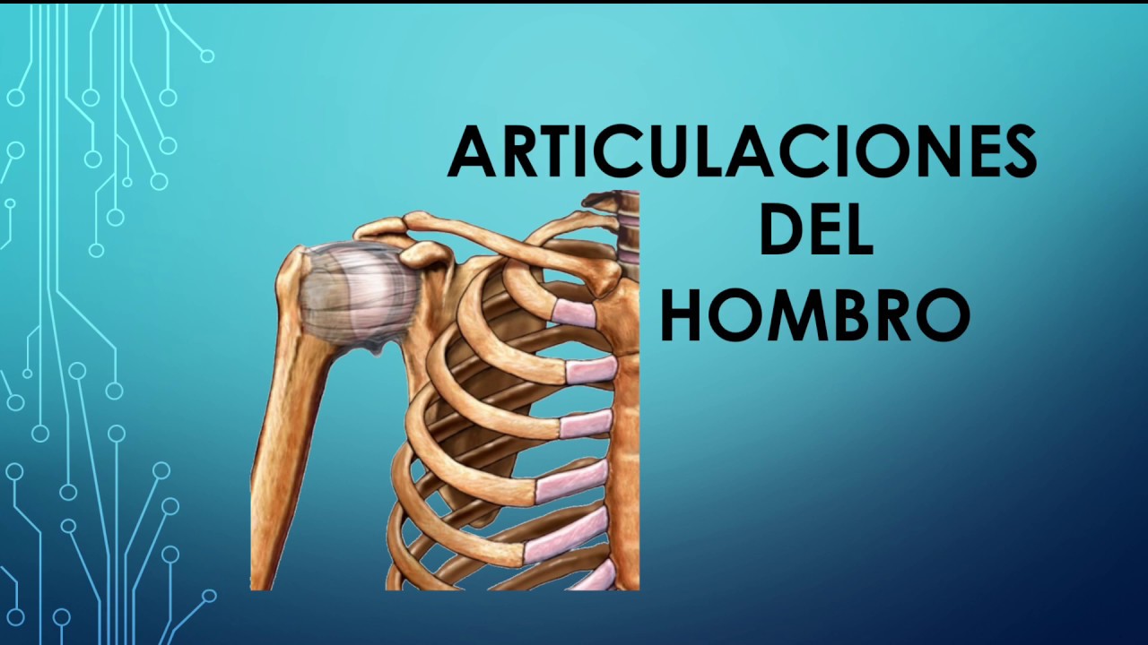 Articulaciones del hombro