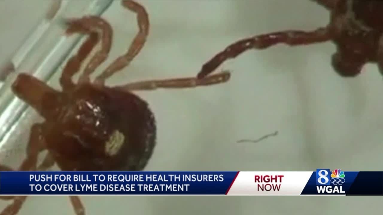 Pennsylvania bill would require insurance companies to cover Lyme Disease