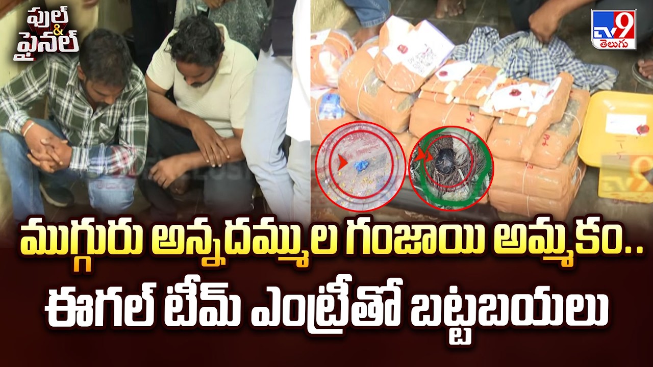 EAGLE Team Raid On Ganja Gang: ముగ్గురు అన్నదమ్ముల గంజాయి అమ్మకం.. ఈగల్ టీమ్ ఎంట్రీతో బట్టబయలు -TV9