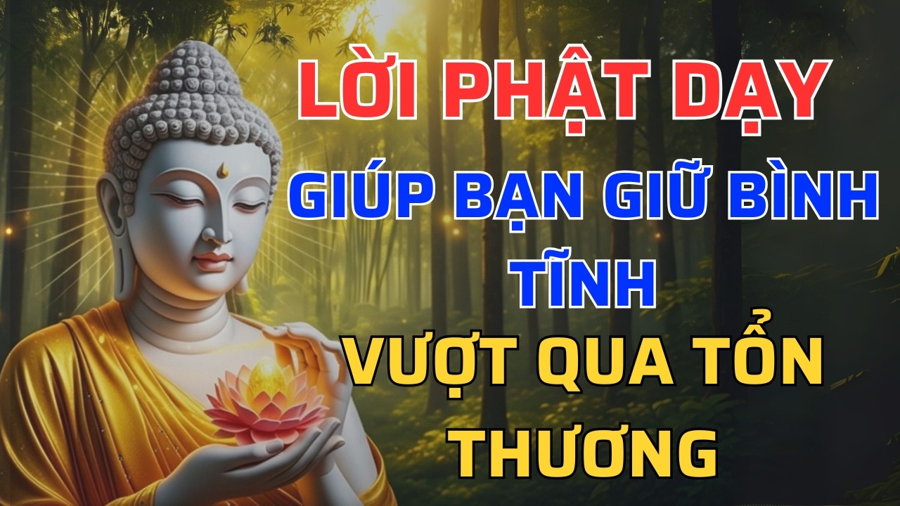 Bị Phản Bội Phải Làm Gì? Lời Phật Dạy Giúp Bạn Giữ Bình Tĩnh Và Vượt Qua Tổn Thương | Tâm An audio