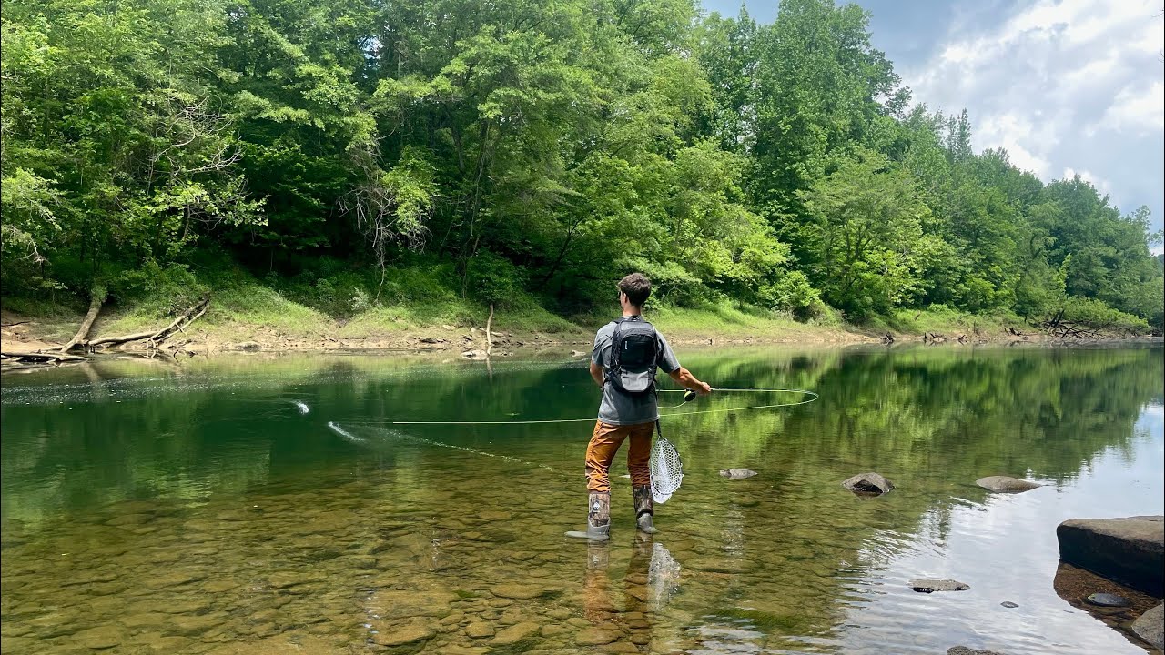 Trout Fishing in Sipsey River