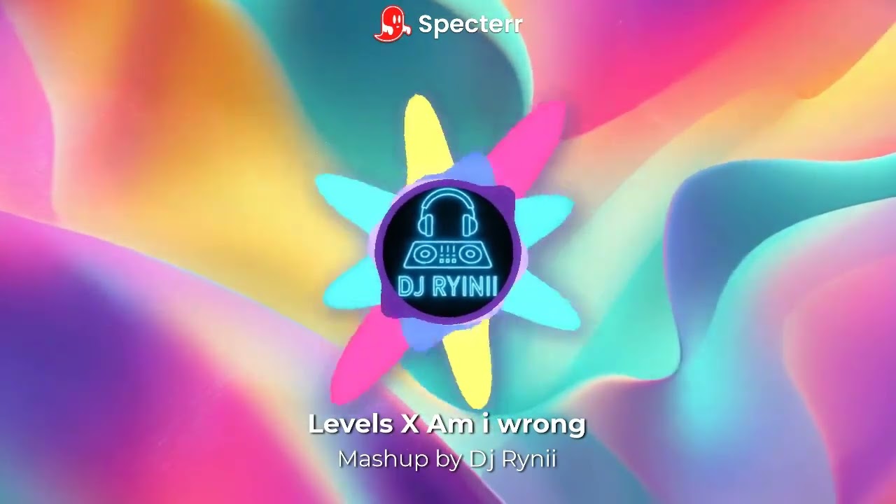 Levels X Am I Wrong [Dj Rynii Mashup]