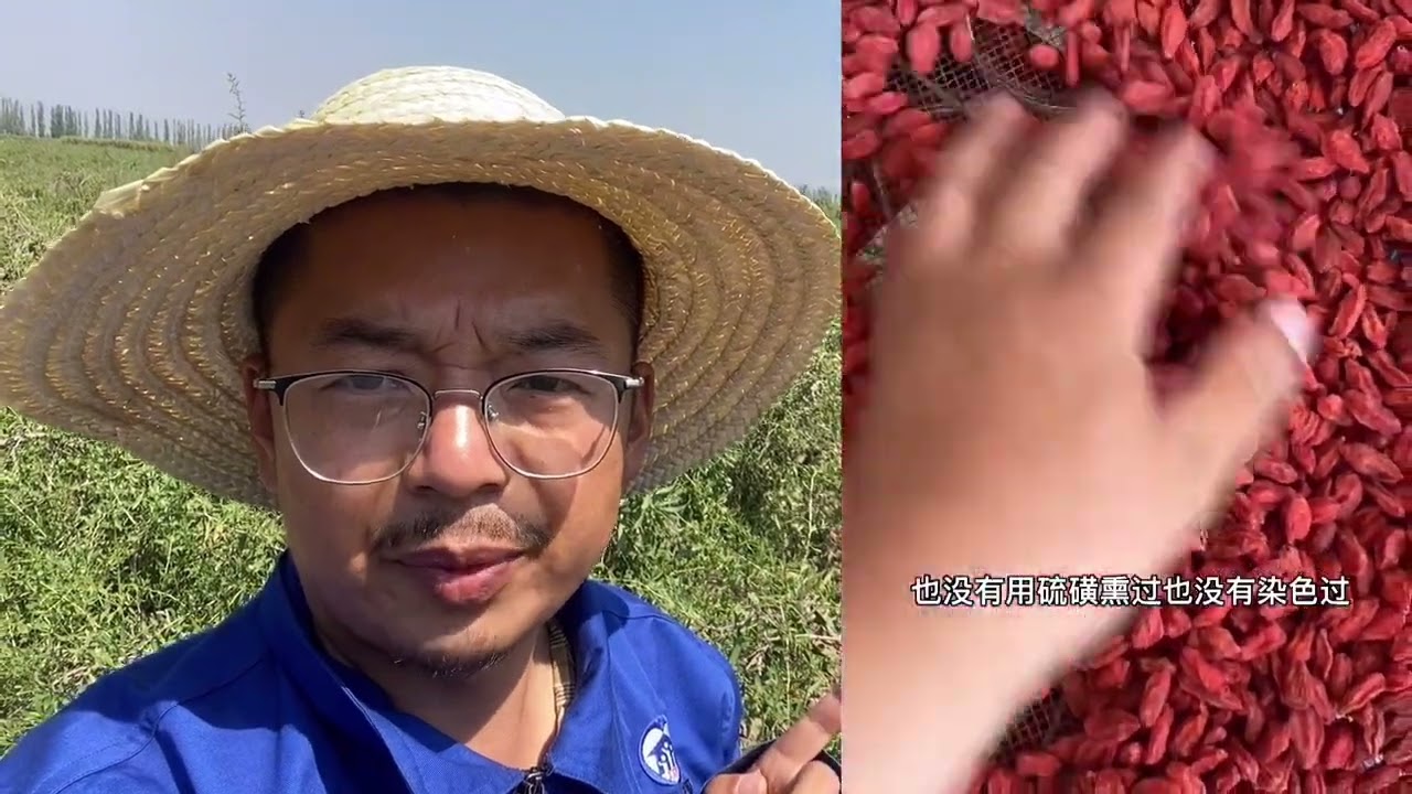 为啥农户枸杞&ldquo;完胜大平台&rdquo;，农产品骗不了嘴巴，农户终于接大单#记录 #记录生活