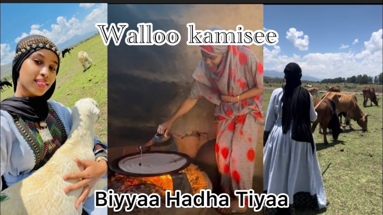 Vlog Walloo