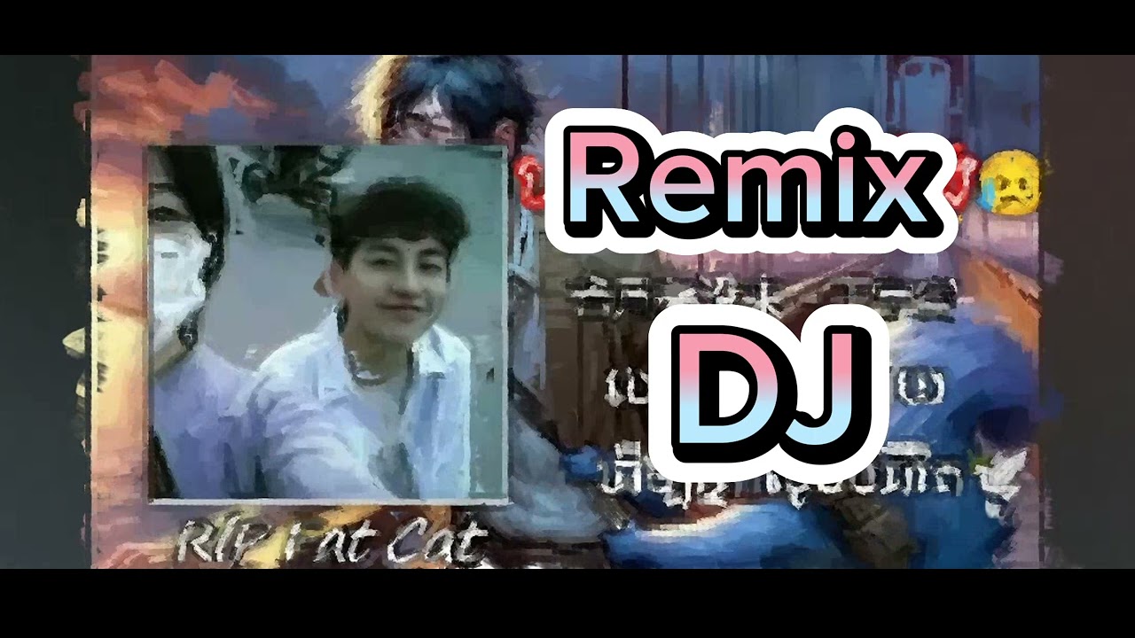 Fat Cat - 若月亮没来 Fat Cat DJ remix #dj #remix #เพลงโดดขว