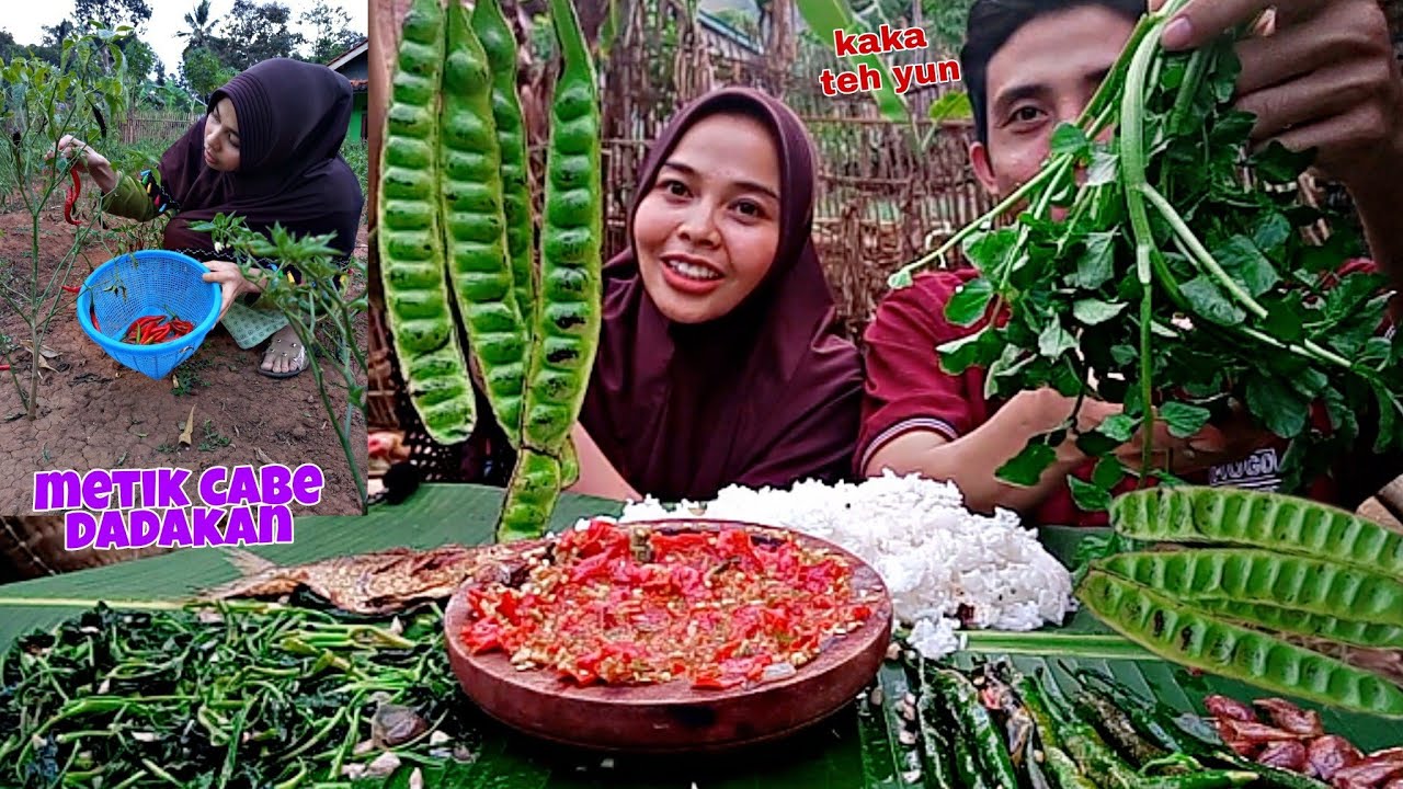 dari sekian vidio mukbang baru kali ini mukbang bareng kaka