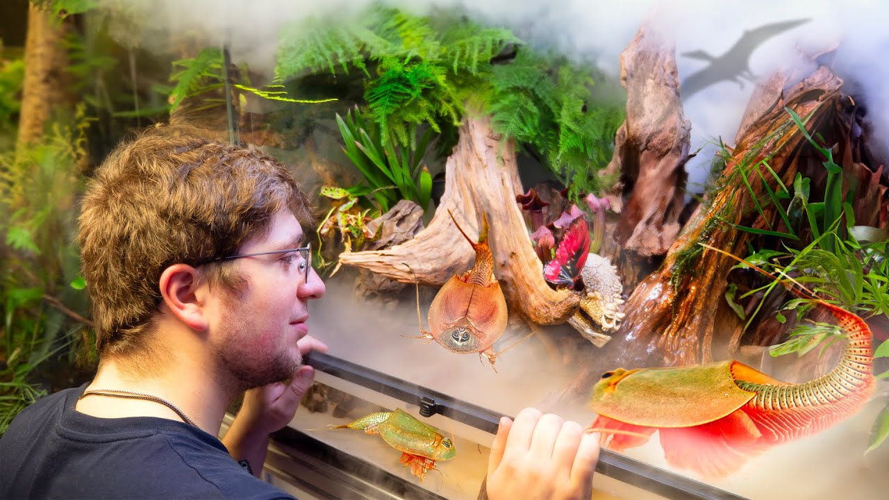 On fait un PALUDARIUM pour animaux PRÉHISTORIQUES (et je me suis fait arnaquer)