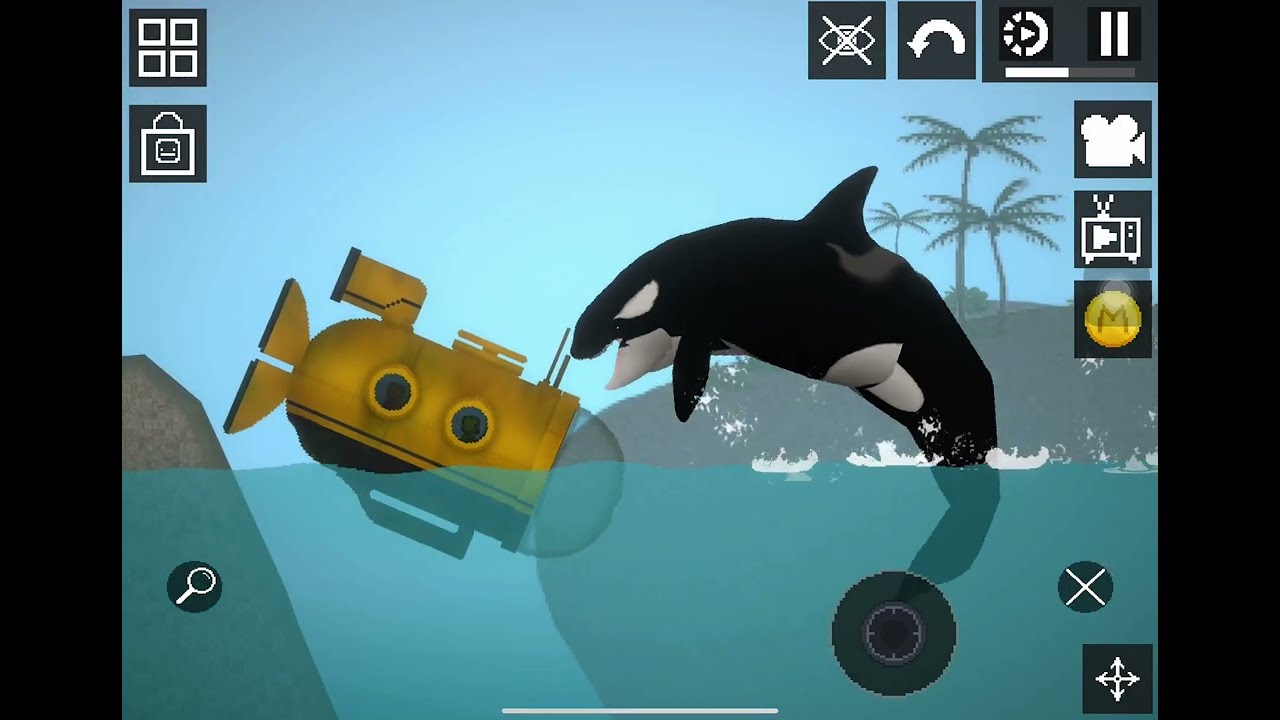 The killer whales attack