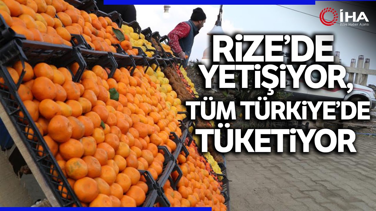 Derepazarı Mandalinası Tadı ve Aroması İle Büyük İlgi Görüyor