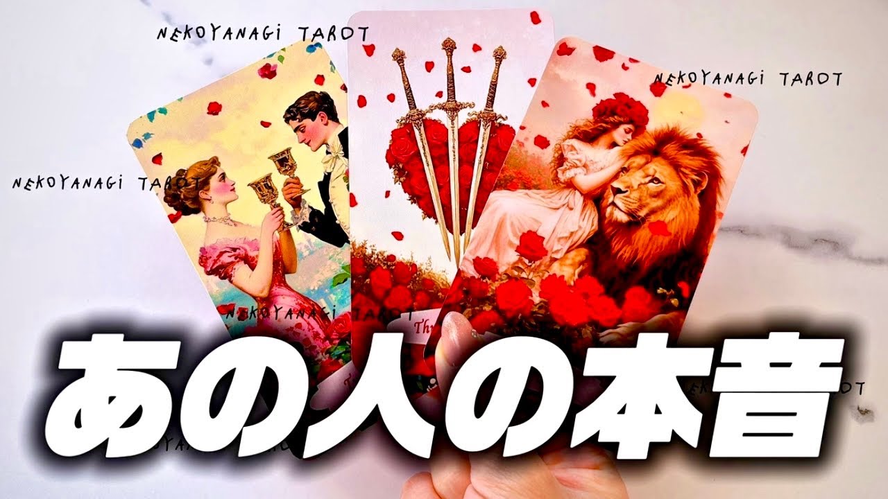 【タロット🌹】あの人の本音。あなたへの本当の想い🥀