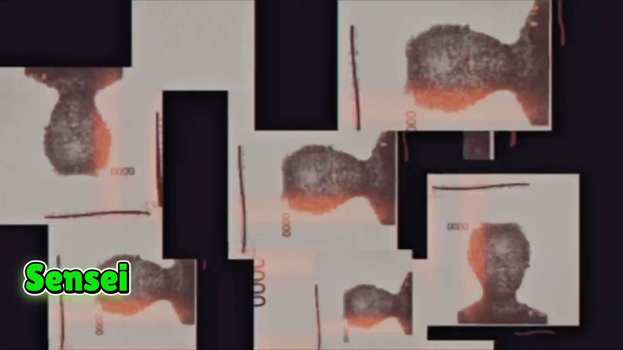 D Huncho - Sensei (Visualizer)