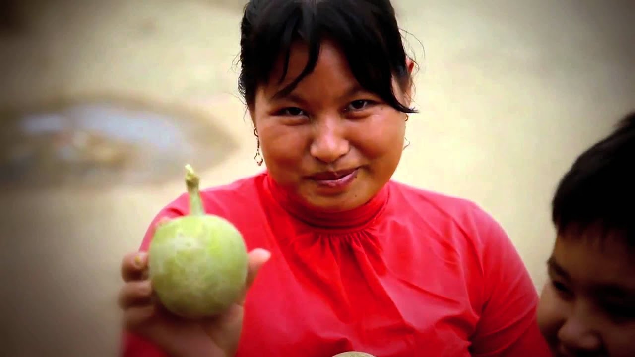 Feed the Future: Turning the Tide on Global Hunger