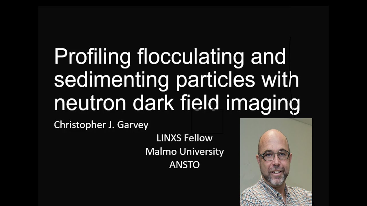 Profiling flocculating and sedimenting particles with neutron dark field imaging