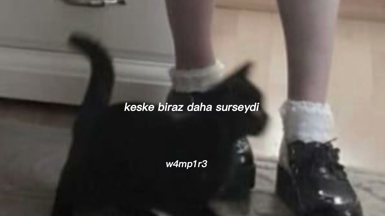 Ari Abdul-Babydoll speed up & turkce ceviri