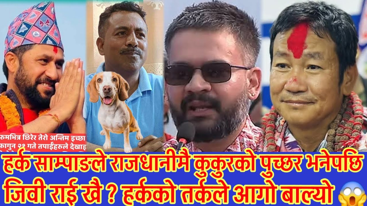 हर्क साम्पाङले राजधानीमै गएर कुकुरको पुच्छर भनेपछि यस्तो तहल्का 😱 जिवी राई खै भन्दै रवीलाइ धर्काएपछि