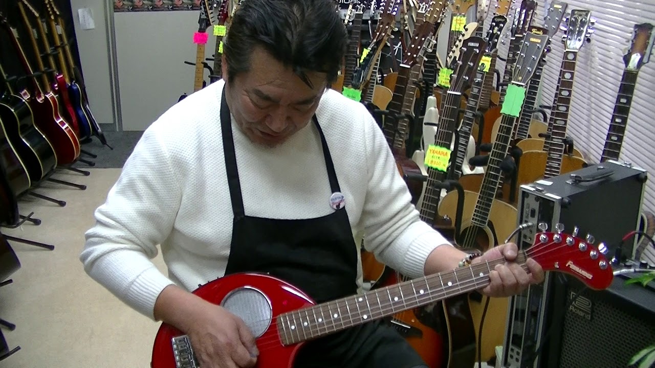 FERNANDES DEGI-ZO  エフェクター内蔵 ぞうさん！
