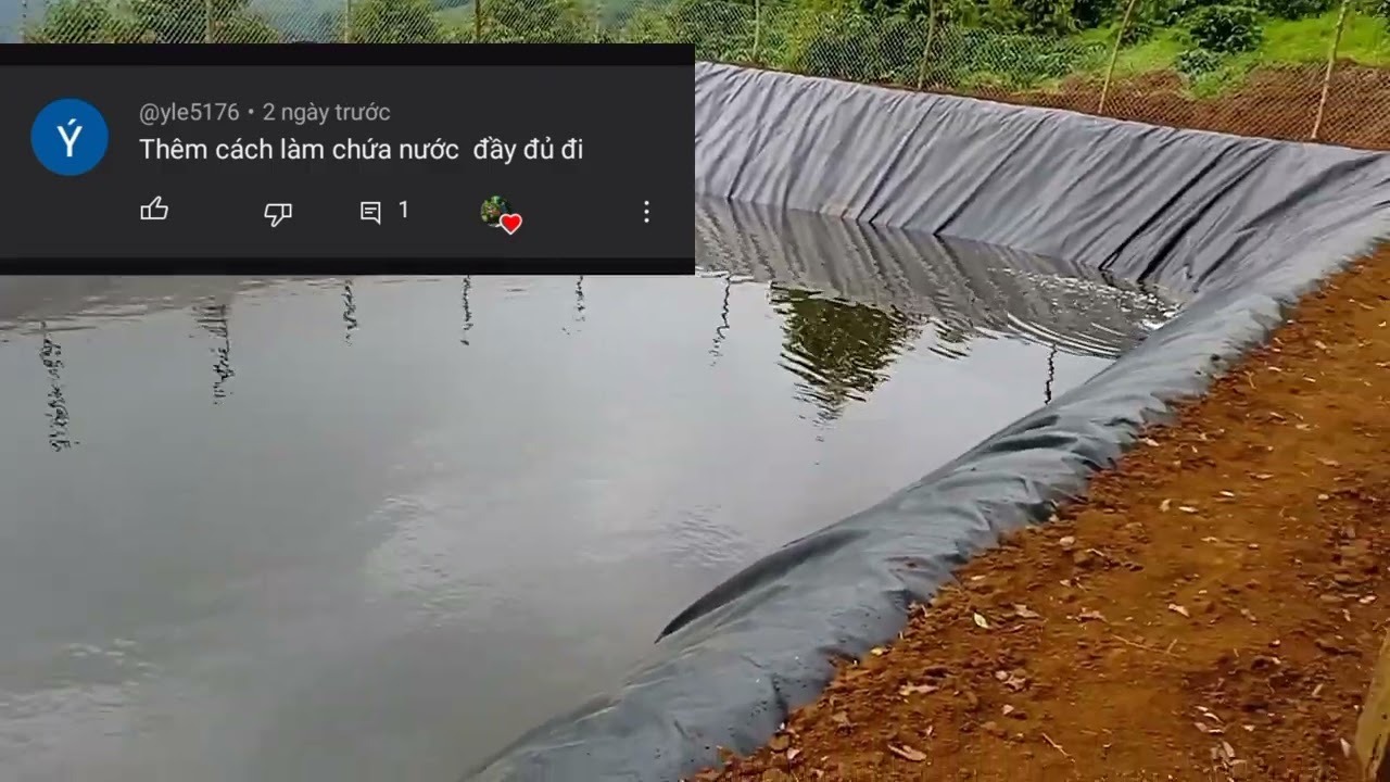 hồ bạt 1000 khối chứa nước như thế nào?