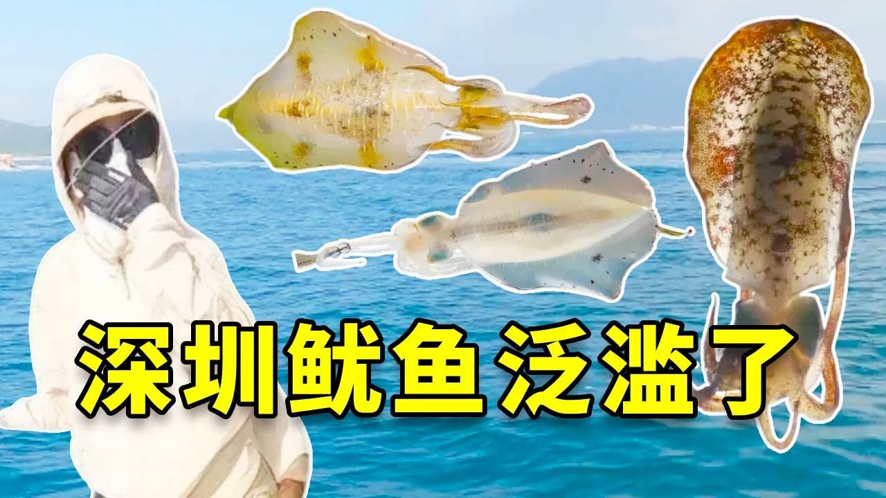 深圳鱿鱼多到随便钓？我带上女友连夜出发！现场狂拉20斤，这波赚翻了！ #大豪夫妇 #钓鱼 #日常