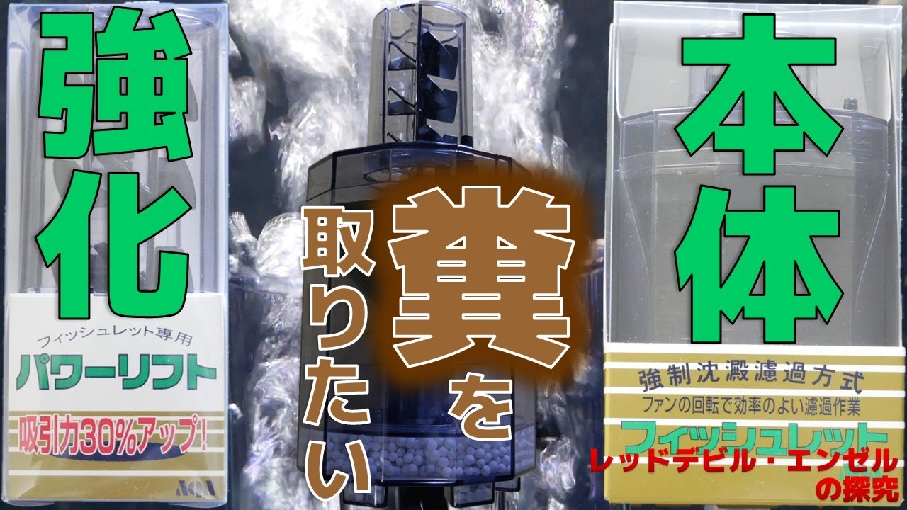 【投げ込み式フィルター】パワーリフト付きフィッシュレットで、糞を吸い取るぜ！【ふぶきテトラ】