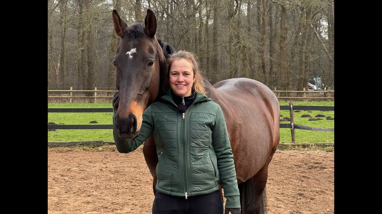 Trainen aan de hand van het Freestyle Systeem: Loswerken