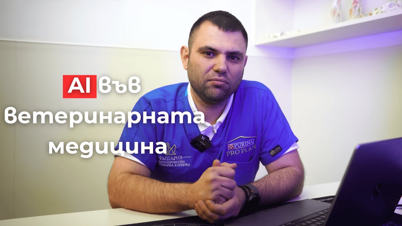 Как работи AI във ветеринарната диагностика - VetScan Imagyst