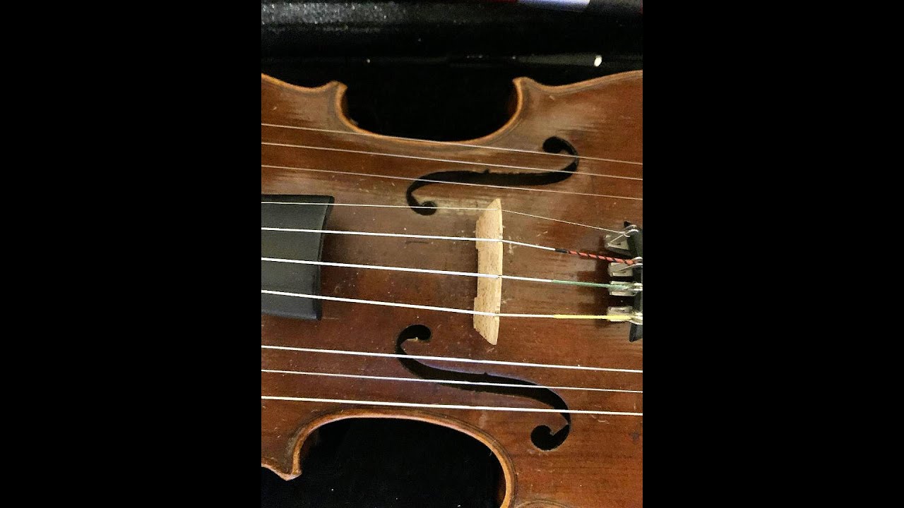 A unique 10 string fiddle