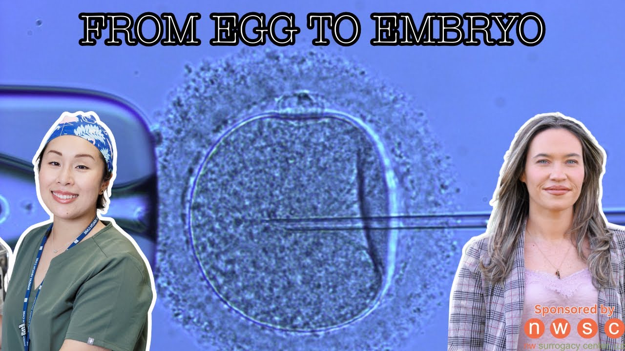 From Egg To Embryo: Truths, Myths, And Modern Fertility
