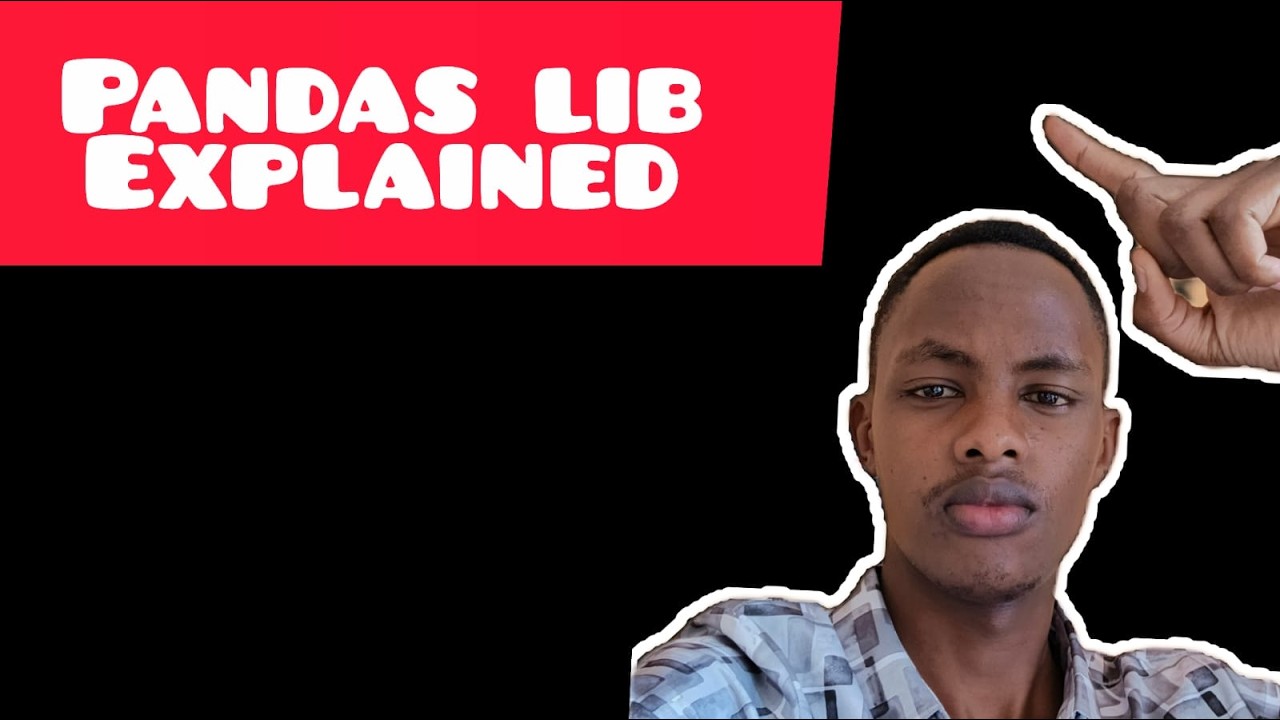 pandas lib explained
