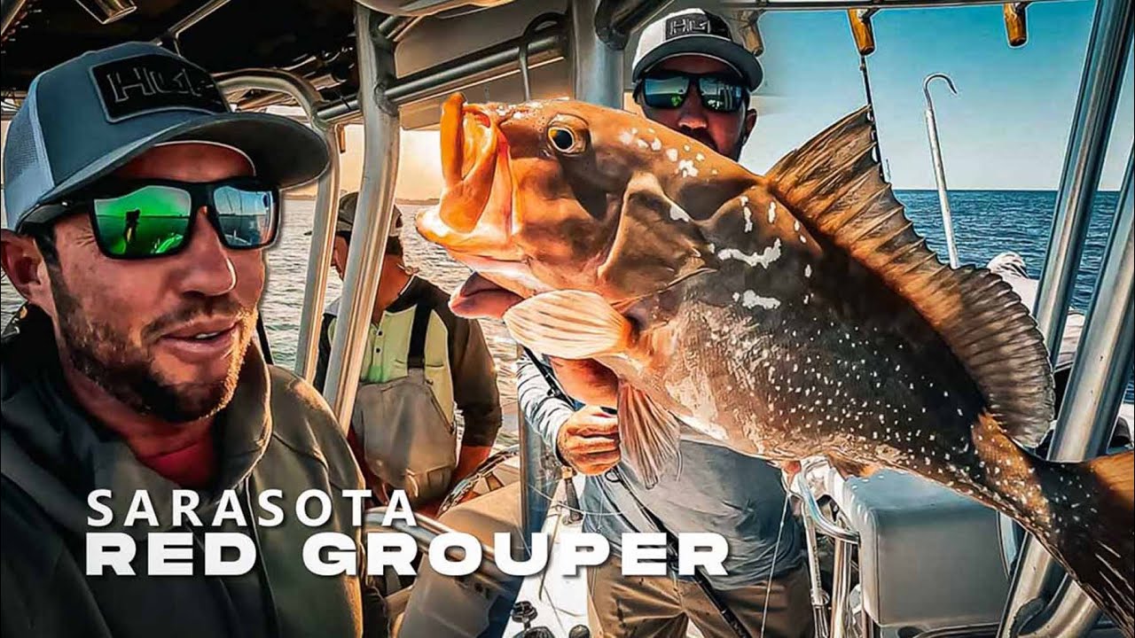 Sarasota Offshore Fishing (Multi-Species) Red Grouper, Shark and Snapper Florida Offshore 2024
