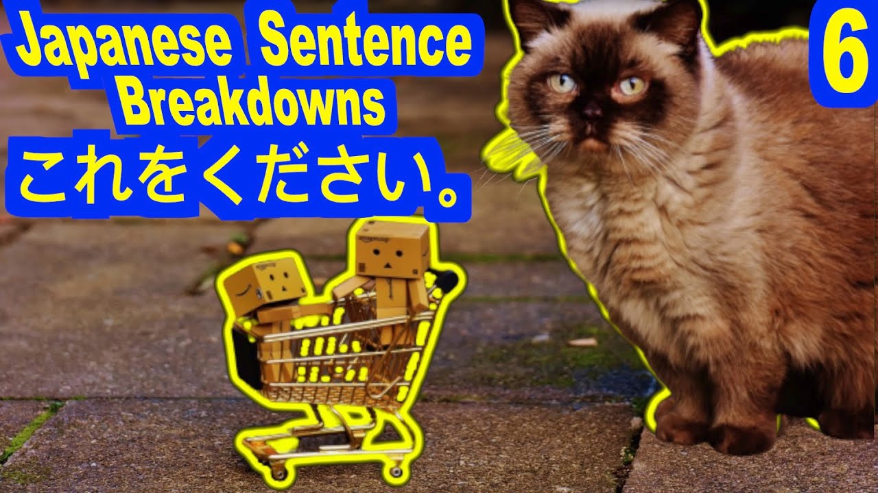 これをください。(Japanese Sentence Breakdown-6)