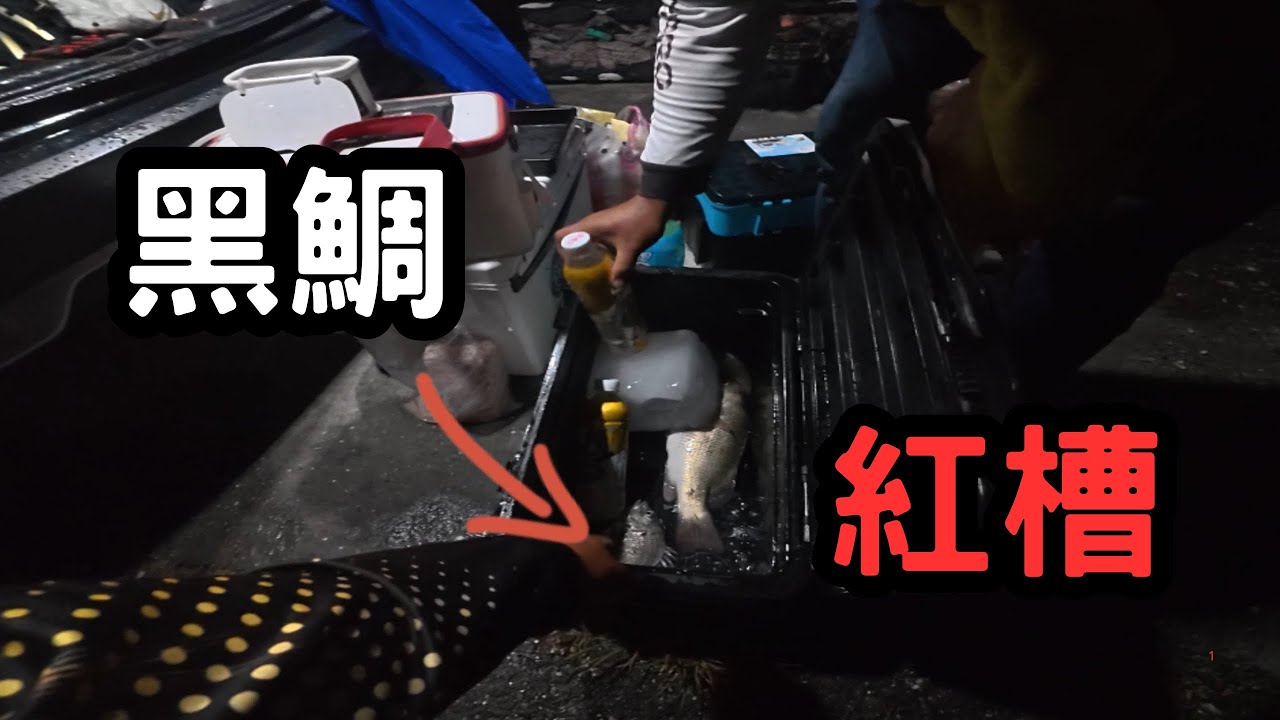 第一次夜釣就中獎？中秋魚貨竟然爆了！｜楨咖兄弟今天要幹嘛？