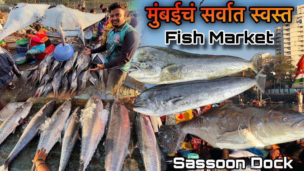 Colaba Fish Market | Wholesale Fish Market In Mumbai | मुंबईचं सर्वात स्वस्त Fish Market | 