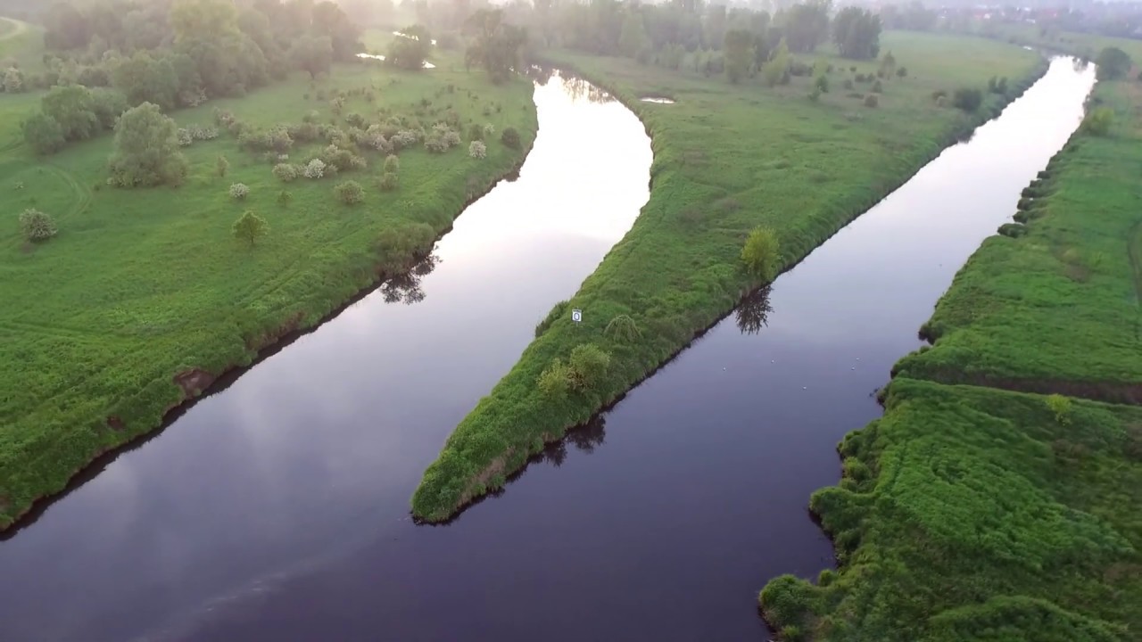Wisła i Przemsza w Gorzowie