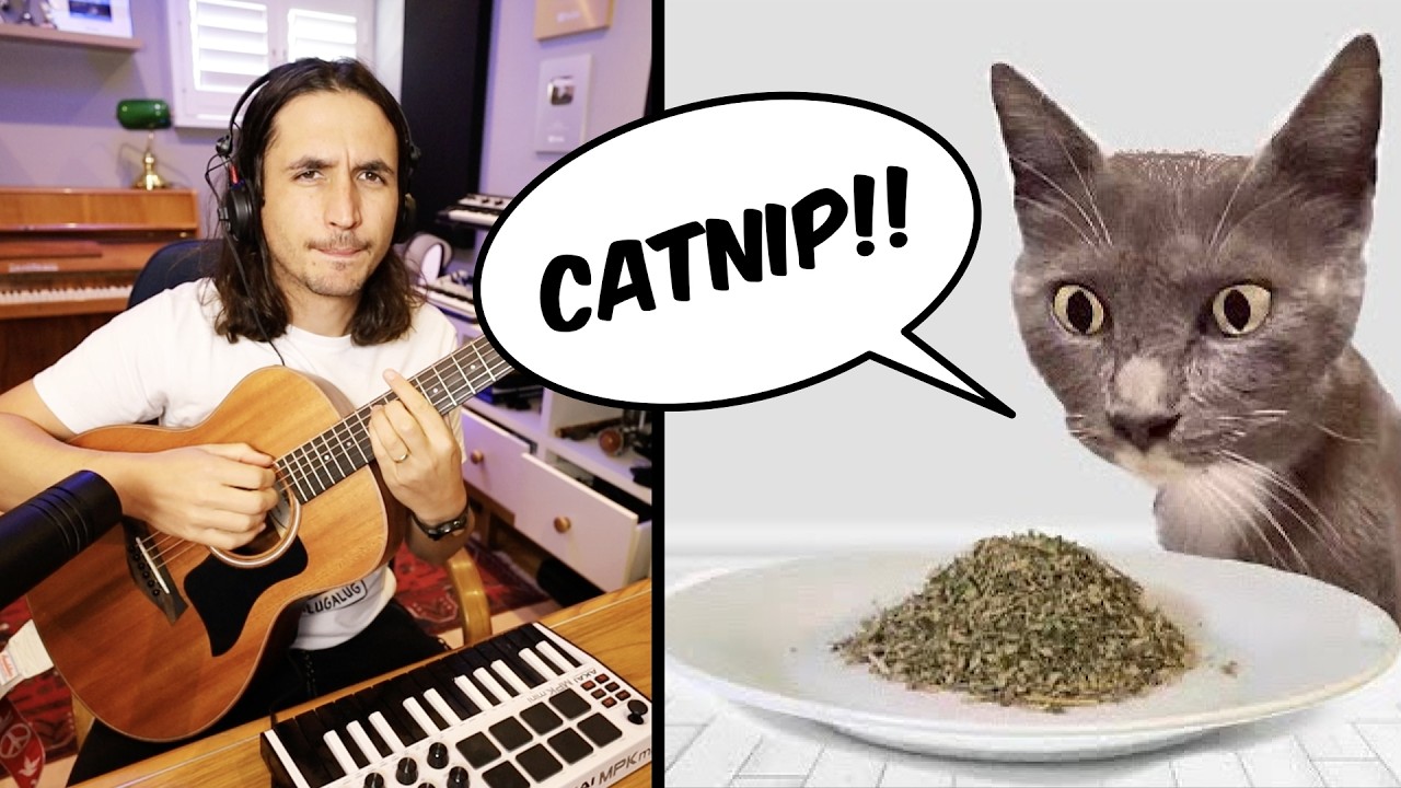 The Kiffness - Doing Catnip Again (Singing Cat Song)