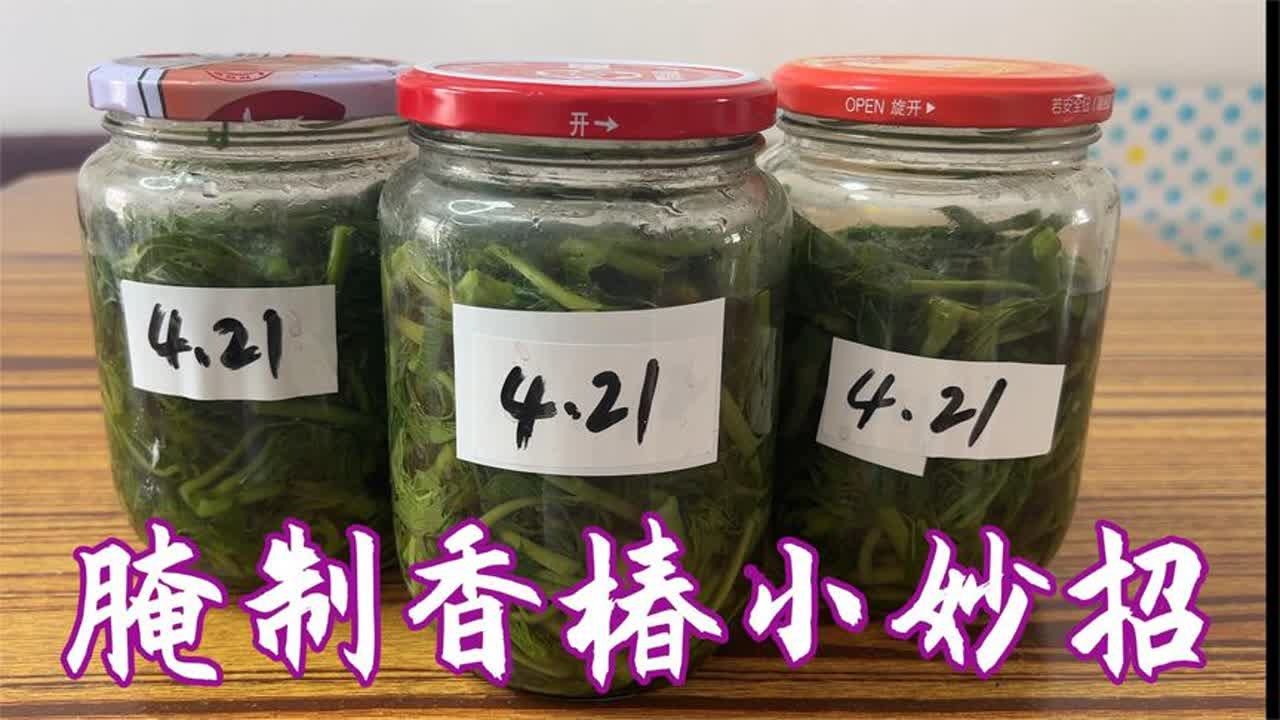 香椿怎么腌制和保存？教你一妙招，可保存一年不坏