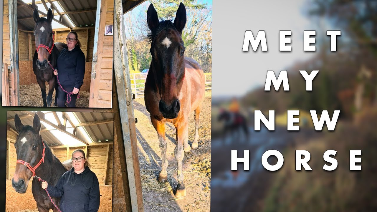 MEET MY NEW HORSE | GO PRO POV | EquineAsh