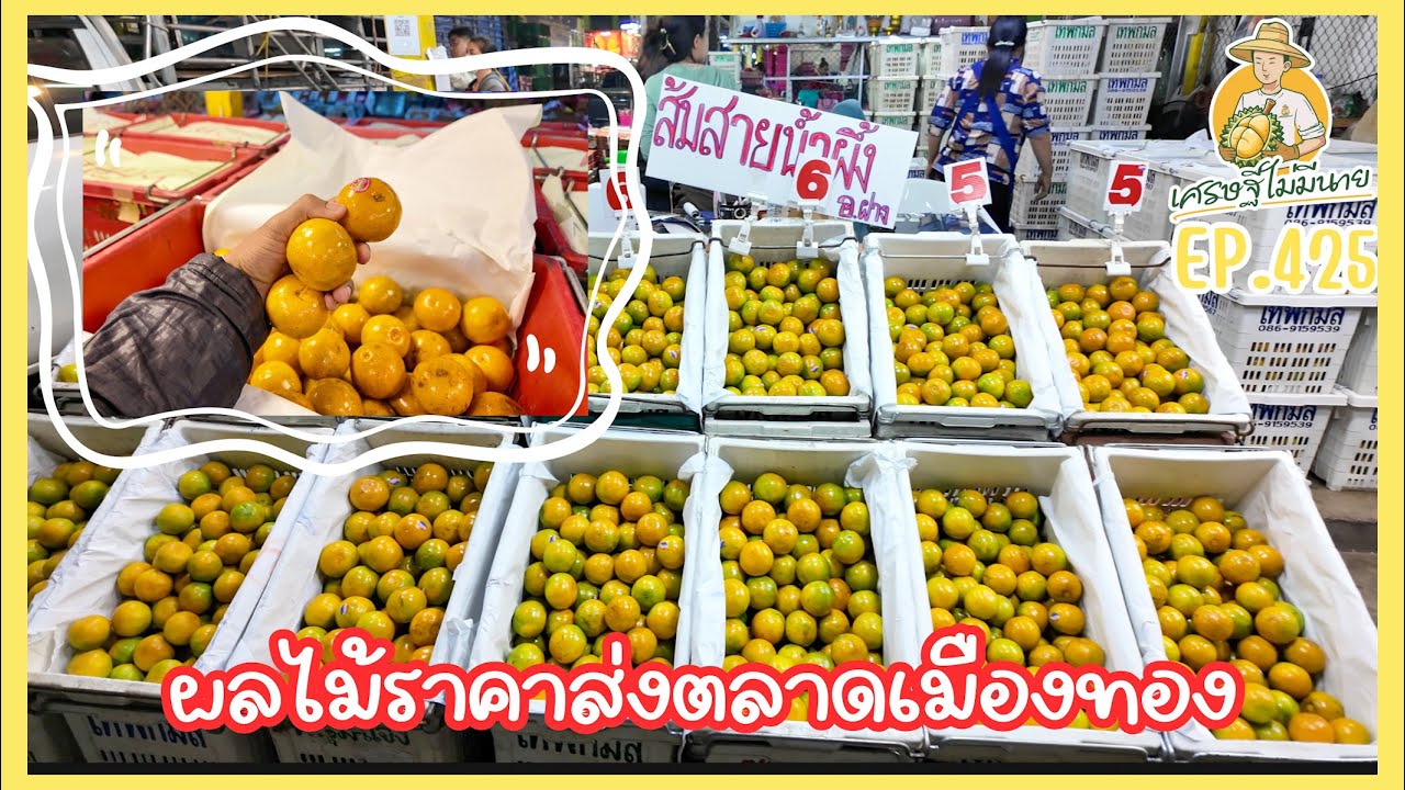 เช็คราคาผลไม้ ตลาดเมืองทอง จังหวัดอุดรธานี 21/12/24 เศรษฐี ไม่มีนาย EP.425