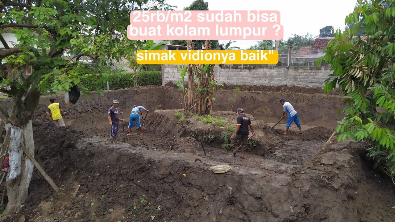 Pembuatan kolam lumpur untuk ikan koi